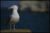 [ DSC0018]