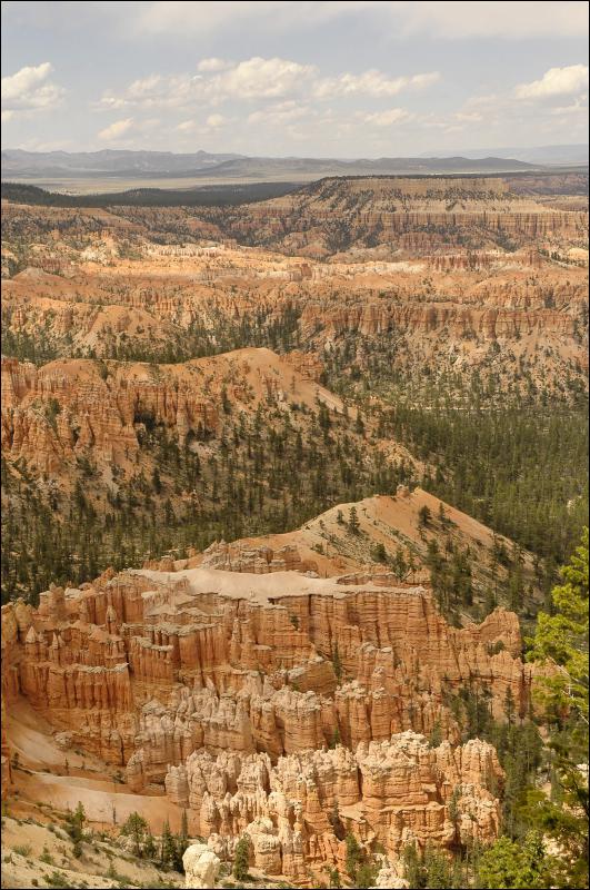 [_DSC2586.jpg]