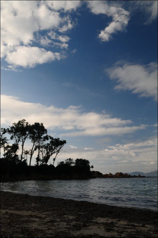 [DSC_1949.JPG]