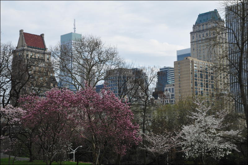 [DSC_6273.JPG]