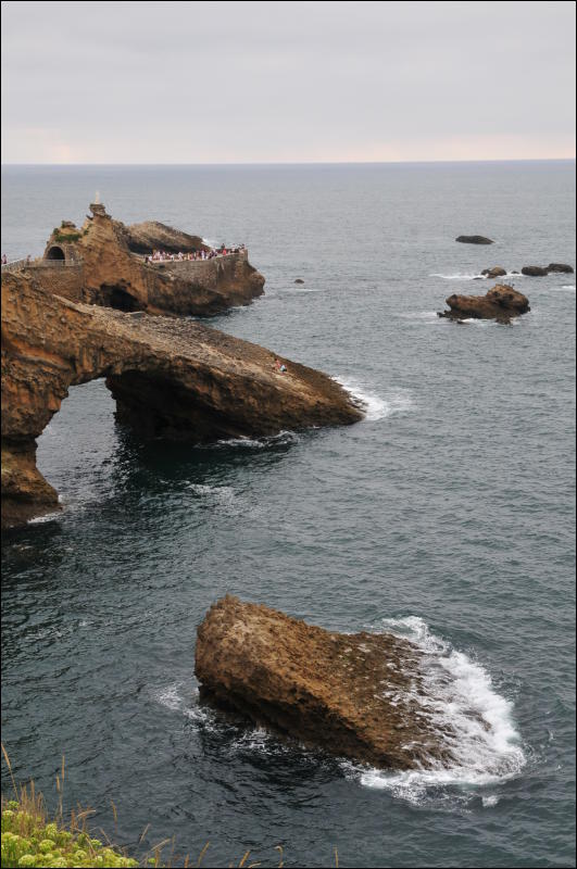 [DSC_0482.JPG]