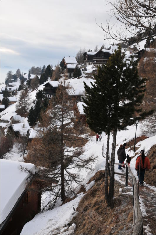 [DSC_4659.JPG]