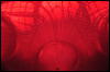 [DSC 0177]