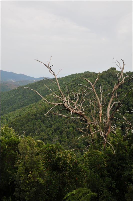 [DSC_7661.JPG]
