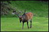 [DSC 0736]