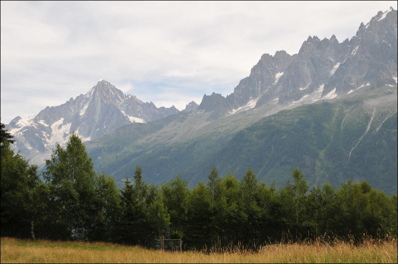 [DSC_0809.JPG]
