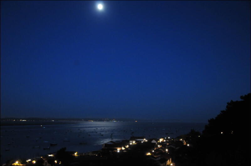 [DSC_2813.JPG]
