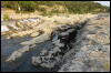 [DSC08145]